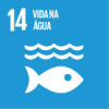 Essa é uma ação da Ufes relacionada ao Objetivo do Desenvolvimento Sustentável 14 da Organização das Nações Unidas. Clique e veja outras ações.