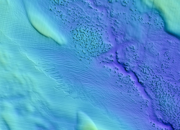 Imagem do relevo do fundo marinho ao largo de São Mateus, na região dos Recifes Esquecidos. A imagem mostra um canal submerso e pequenos recifes nas margens com bancos e dunas subaquáticas.