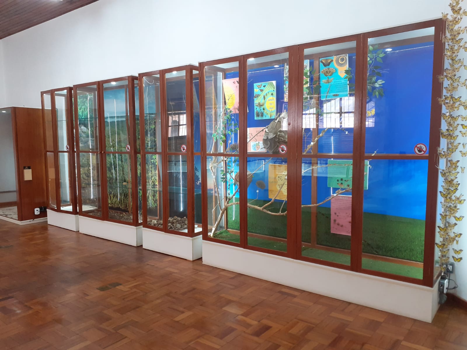 Imagem de uma das salas do Museu, onde fica um armário com portas transparentes