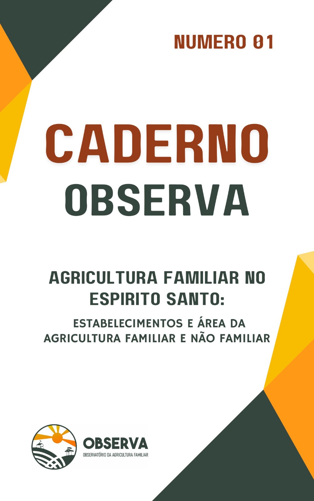 Capa do Caderno Observa, com o título da primeira edição