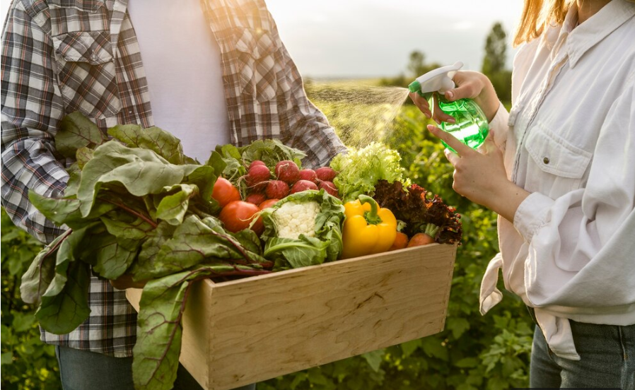 Imagem de um produtor segurando uma caixa com várias frutas e verduras
