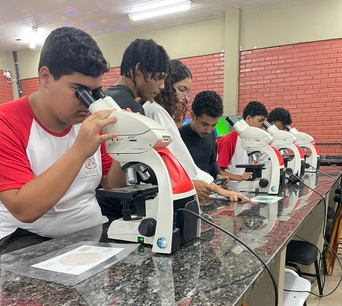 Foto de estudantes olhado em microscópios