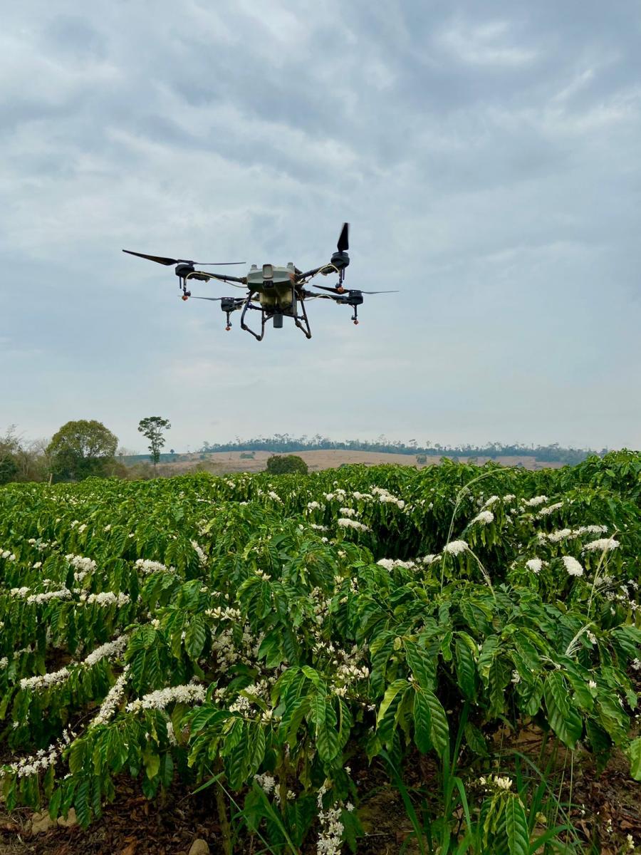 Foto de um drone sobrevoando uma plantação de café