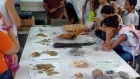 Foto de jovens estudantes em volta de uma mesa com amostras de plantas, no herbário