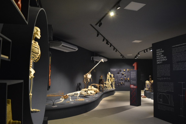 É inaugurado no campus de Goiabeiras o Museu de Ciências da Vida (MCV), cujo acervo é único em todo o Brasil, o que posiciona a Ufes como referência nacional em museus de anatomia e correlatos