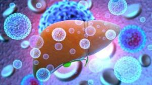 Ilustração de um fígado cercado por bolas que remetem a vírus