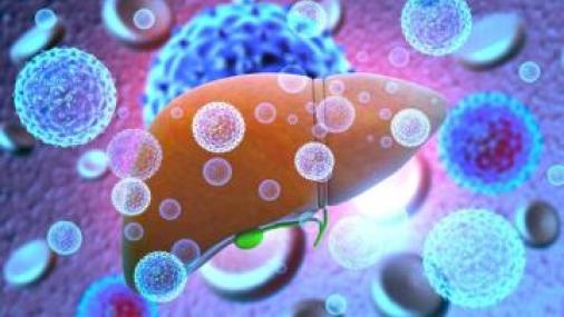 Ilustração de um fígado cercado por bolas que remetem a vírus