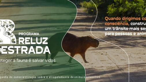 Cartaz de divulgação do programa