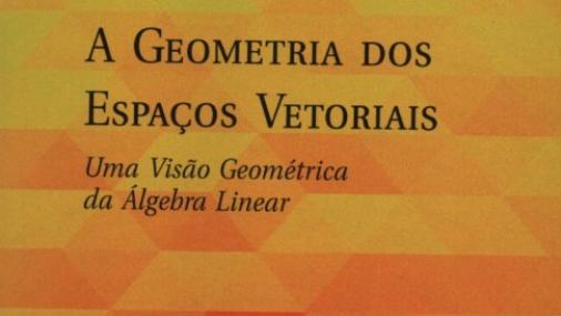 Capa do livro A geometria dos espaços vetoriais: uma visão geométrica da álgebra linear 